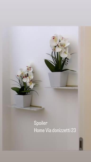 San Babila - Luxury Milanese Apartment 外观 照片